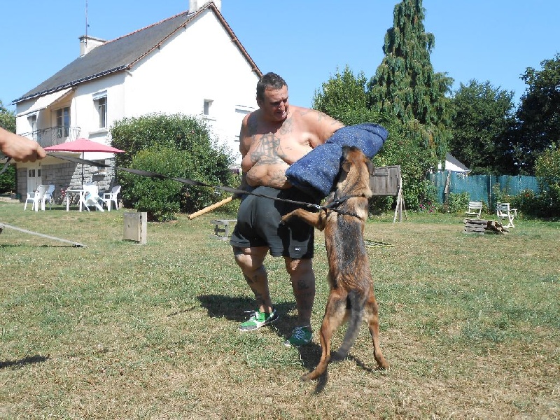 A VENDRE L'OSAQUE,LUCIAN,LOUKY