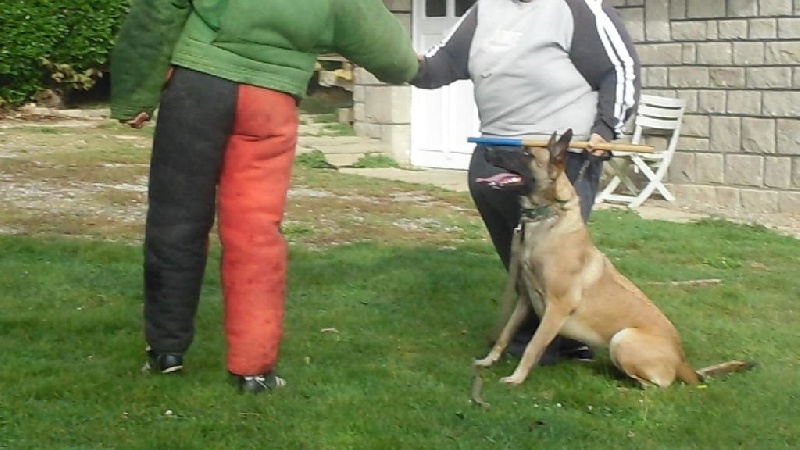 H'LILITH PASSE A L'ATTAQUE