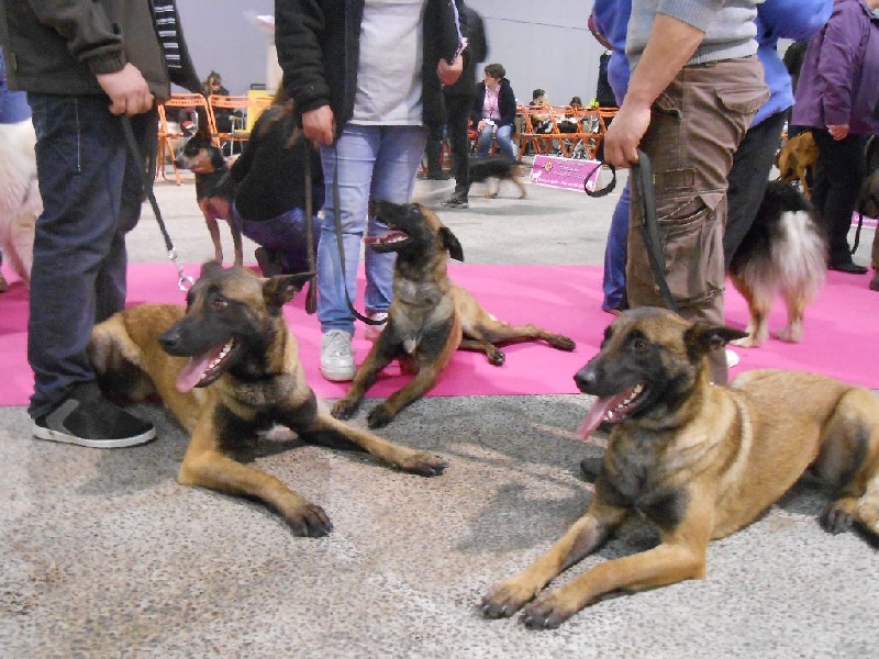 3 GUERRIERS DE MALIGNE EN CONFIRMATION A NANTES