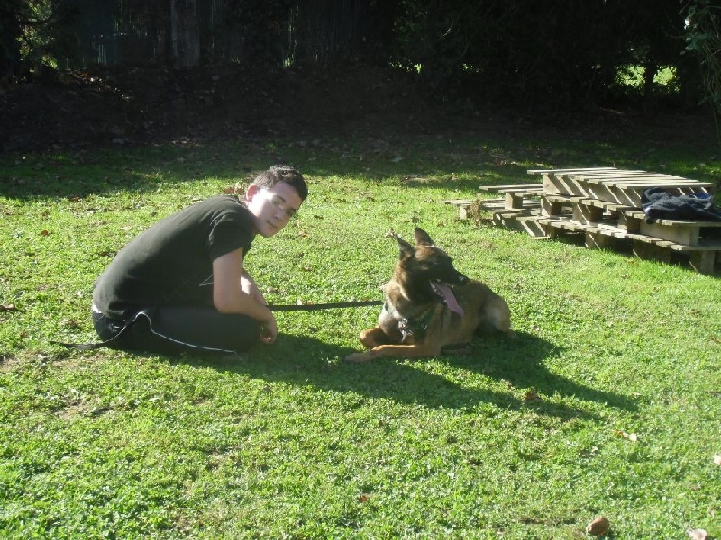 NOS CHIENS CE MATIN