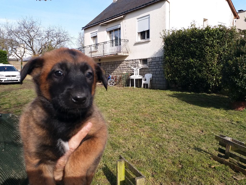 PERE , MERE ET BEBES A RESERVER