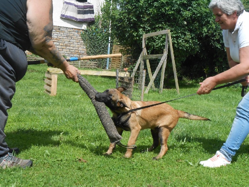 LES PETITS AU BOULOT