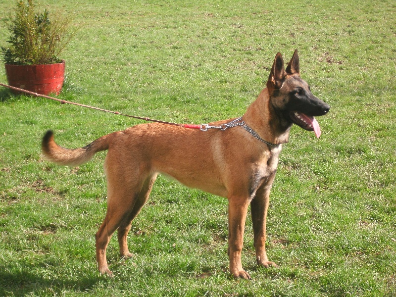 2014