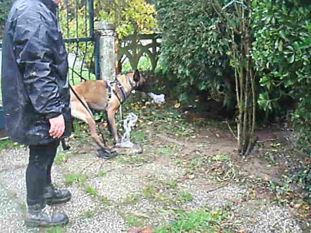 recherche