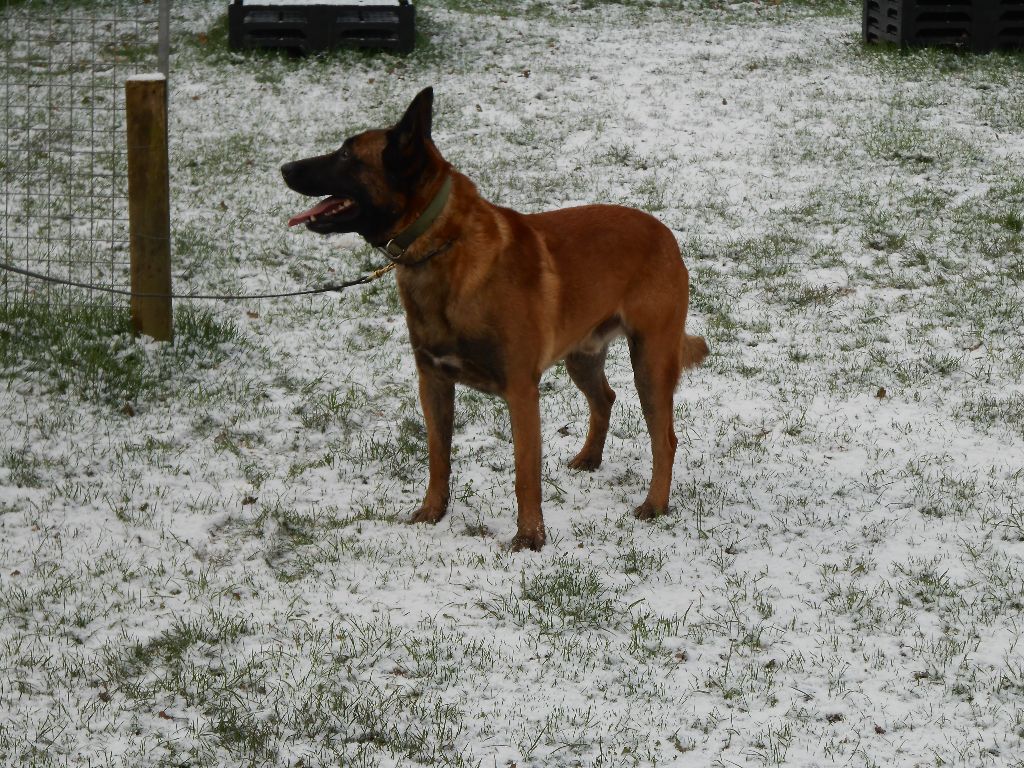 LA NEIGE