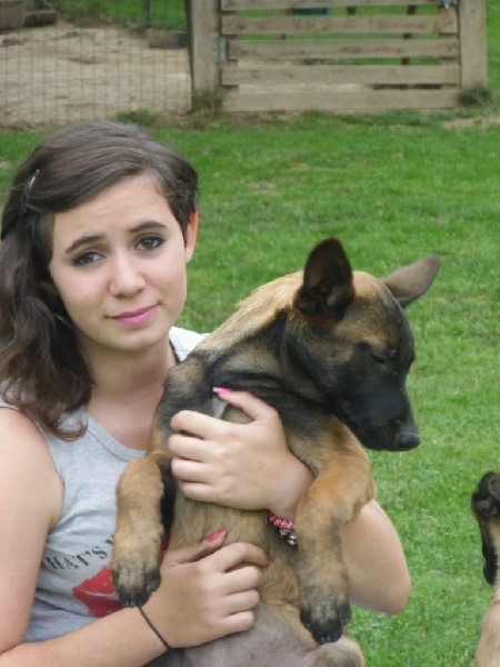 UN PETIT TEST