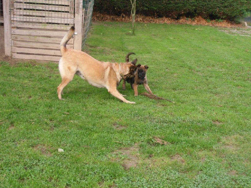 FIDJI ET JADE